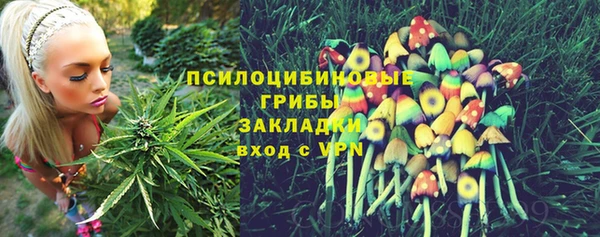 тгк Алзамай