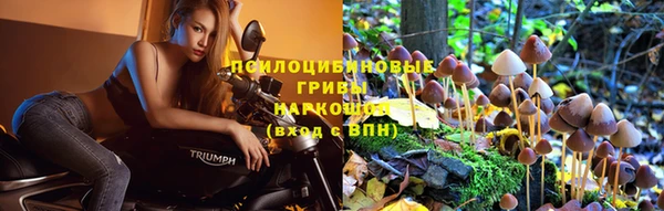 наркотики Ростов