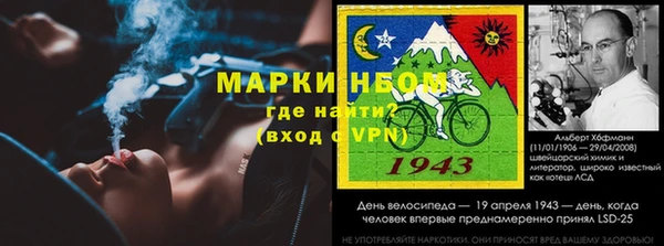 тгк Алзамай