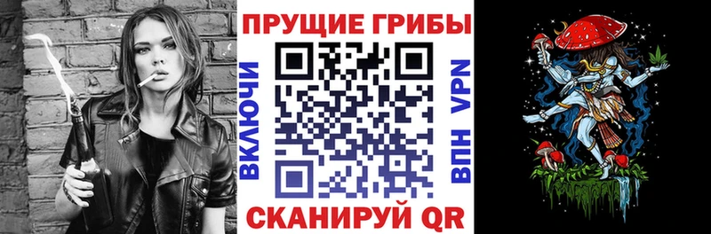 наркошоп Липки Псилоцибиновые грибы Psilocybine cubensis